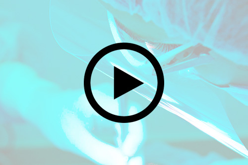 Imagen alternativa representa que este artculo incluye un vdeo en su detalle